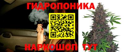 мяу мяу мука Гусь-Хрустальный