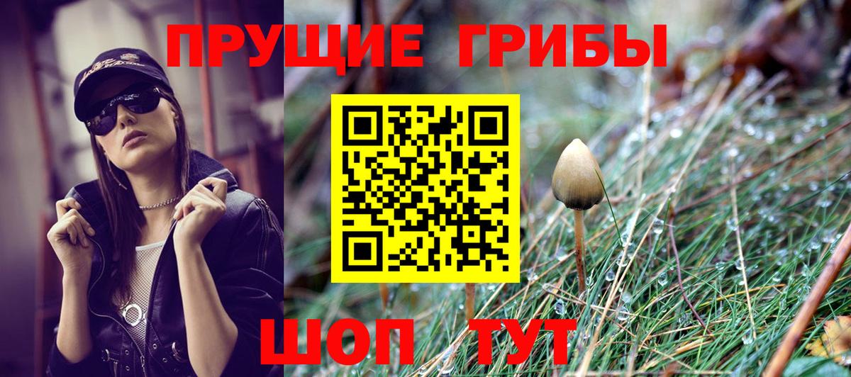 Галлюциногенные грибы MAGIC MUSHROOMS Лыткарино