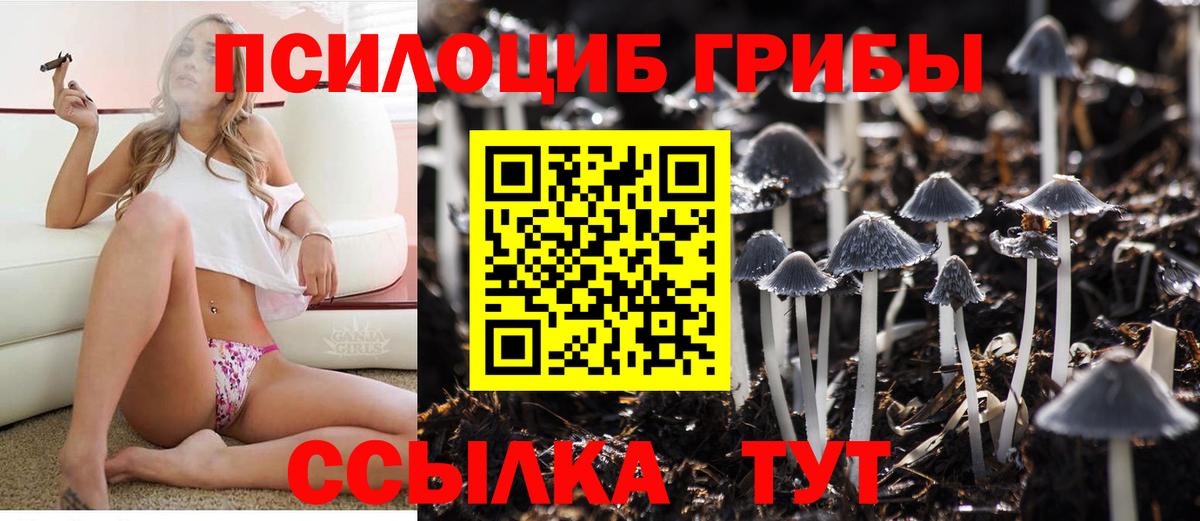 Галлюциногенные грибы мухоморы  Вход с VPN  Лыткарино 
